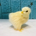 Realistic yellow plush chick toy for Easter decoration and kids teaching models - Twist Head Yellow Chick