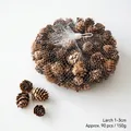 Natürliche 1-3cm Lärchenzapfen, ca. 90 Stück im Netzbeutel für rustikale Weihnachtsdeko - Lärche Naturstil