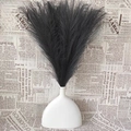 Minimalist white matte ceramic vase with decorative black artificial pampas grass bouquet - Black