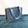 Gray-blue jewelry paper gift bag with sky blue ribbon handles and solid structure - Horizontal Gift Bag / Lake Blue