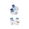 Set di guanti e calzini per neonati in cotone bianco con stampe di dinosauri - Set Guanti e Scarpine Grande Dinosauro Blu