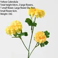 Marigold Yellow