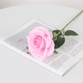 Elegant single pink velvet artificial rose placed on an open book for home decor - Large Round Light Pink