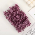Preserved purple hydrangea flower petals in a clear box for DIY crafts and wedding decor - 5g / Fuschia