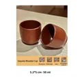Pair of redwood whiskey cups with 50ml capacity and natural polished wood grain - 50ml / Small Wine Cup