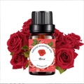 Natural rose essential oil 10ml in amber glass bottle with red roses background - 10ml / Rose