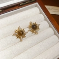 Detail of 18K gold plated sunburst earrings with tiger eye stone on velvet - Sunburst Star Tiger Eye Style (Silver Pin-Tiger Eye)