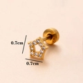 Goldener Sternohrstecker mit Zirkon-Inlay und 0,7cm Größenangaben für das Ohrläppchen - 3# Stern / Gold