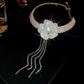 Dettaglio choker di lusso con fiori di cristallo e nappe brillanti su sfondo nero - Argento
