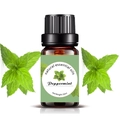 10ml peppermint natural essential oil in dark glass bottle with fresh mint leaves - 10ml / Mint