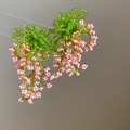 Detailed view of handmade beaded earrings with green flower top and pink fringe tassels - Green Pink Bow Tassel (46#)