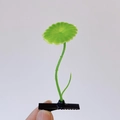 Simpatica molletta per capelli a forma di germoglio verde con clip a becco d'anatra nero - Loto