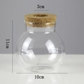Spherical clear glass hydroponic vase with cork lid, 11cm height for indoor plants - Small Dense Ball (10*11cm)