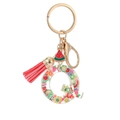 Resin letter Q keychain with colorful fruit slices, red tassel and gold-tone metal clip - Letter Q