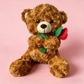 Brauner Teddybär-Plüsch mit roter Rose sitzend auf rosa Hintergrund als Geschenk - Braun