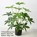 Artificial 70cm Money Tree plant with 18 green leaves in a sleek black ceramic pot - 18-Head Money Tree (Without Pot)
