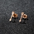 Minimalist 18K gold plated stainless steel arrow stud earrings on black glitter background - Arrow / Rose Gold