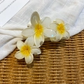 Détail de la pince à cheveux frangipanier avec pétales en résine blanche et centre jaune - Blanc