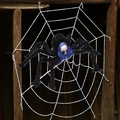 Giant black skeleton spider with blue scarf on a large white spider web for Halloween - 2.5m White Round Web + Skull Spider + 20G Cotton + 20 Little Spiders