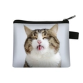 Cute brown tabby cat coin purse with zipper and portable handle on white background - Tongue Out Tabby