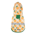 Waterproof dog raincoat with orange fruit print and safety reflective strip - S / Orange Yellow