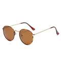 Vintage round polarized sunglasses with tortoiseshell frames and gold metal temples - Gold Frame Leopard Rim Brown Lens (Polarized) C21
