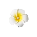 Fermaglio per capelli con plumeria bianca e gialla e perla centrale su sfondo bianco - Stile Perla / 6cm / Bianco