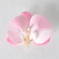 Testa di orchidea phalaenopsis in seta rosa sfumata per decorazioni nuziali fai-da-te - Pellicola 3D Rosa N. 1 (Piccolo)