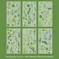 Green eucalyptus and clover PET decorative stickers for DIY journaling, 6-sheet set - Eucalyptus Leaves (6 Sheets)