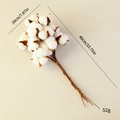 Natural dried cotton stems bundle for Christmas decor 20x40cm 52g floral arrangement - Cotton Stems 10 Bundles White