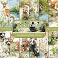 6x6 inch Forest Animal Scrapbook Paper, 160gsm watercolor illustrations for DIY crafts - R2559 24 Sheets