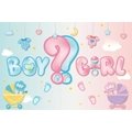 Pink and blue gender reveal backdrop with boy or girl question and baby shower icons - Gender Reveal Backdrop (Style B)