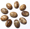 Brown and beige oval natural stone cabochons arranged in a circle on white background - Jasper