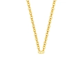 Collana in argento 925 a maglie circolari dorate con finitura metallica lucida - Catena a Maglie (G01) / Argento 925 / Oro (G01)