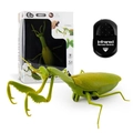 Green remote control praying mantis toy with 3-channel infrared transmitter and package - Remote Control Mantis