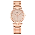 Orologio da donna in oro rosa con quadrante strutturato e cinturino in metallo Tadi - Oro rosa