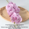 Film Phalaenopsis Light Purple No. 2