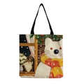 Gatto con Sciarpa Invernale (hm2890)