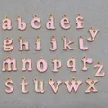 Set of 26 pink enamel A-Z alphabet charms with gold metal alloy frames for DIY jewelry - Alphabet Set (DY147) / Set of 26 / Style 27 Pink