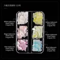 Irregular mixed 6-grid iridescent nail art shell flakes set with pearl luster finish - Ultra-thin Shell Flakes (123)