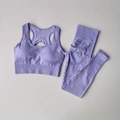 Ensemble de yoga sans couture lavande avec brassière dos nageur et legging taille haute - Violet