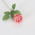 Pink velvet artificial rose flower with realistic green leaves on white background - Small Velvet Cappuccino