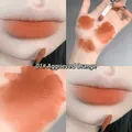 Matte lip mud lipstick in shade 01 Terracotta Orange with sponge applicator and swatches - 01# Moody Orange