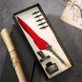 European vintage red feather quill pen gift set with 5 metal nibs and black ink - Red