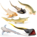 Set da 6 pezzi di creature marine preistoriche con squalo goblin e chimera giocattolo - Set da 6 pezzi vita marina antica