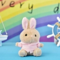 Detailansicht einer kleinen beigen Plüschhasenpuppe mit einem weichen rosa Mini-Hoodie - Rosa / 12cm