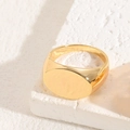 Anello sigillo minimalista placcato oro 14K con superficie ovale lucida su pietra - US6 / Ovale Liscio
