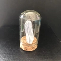 Spécimen de cristal blanc naturel dans un dôme en verre avec base en liège - Monocristal