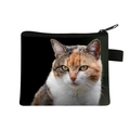 Mini calico cat print coin purse with black zipper and fabric handle for kids - Calico Cat
