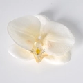 Testa di orchidea artificiale color crema con centro giallo e petali realistici - Seta Bianco Riso (Grande)